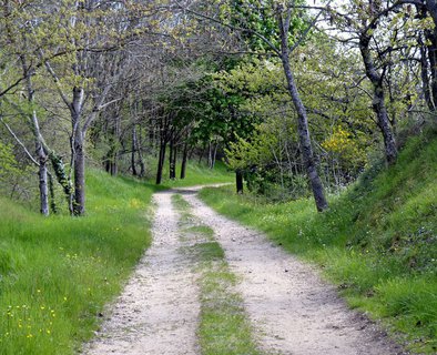 Le Rocher de Peyroles