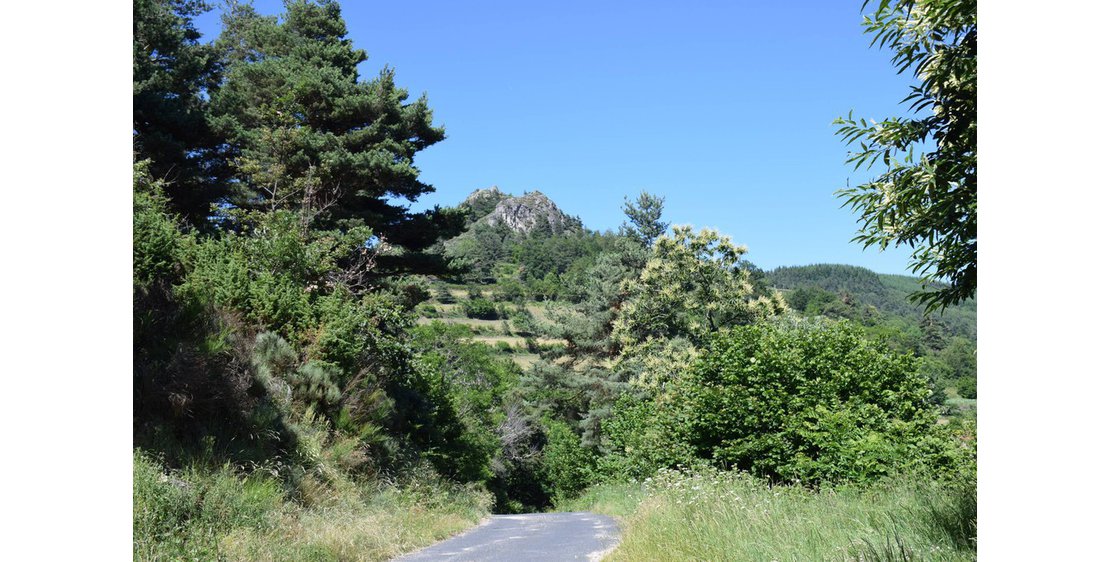 Photo Château de Rochebloine