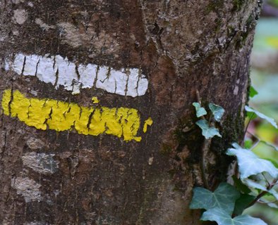 Le Col de Montreynaud