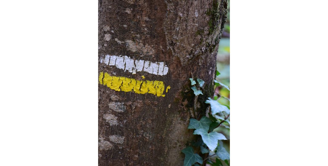 Foto Le Col de Montreynaud