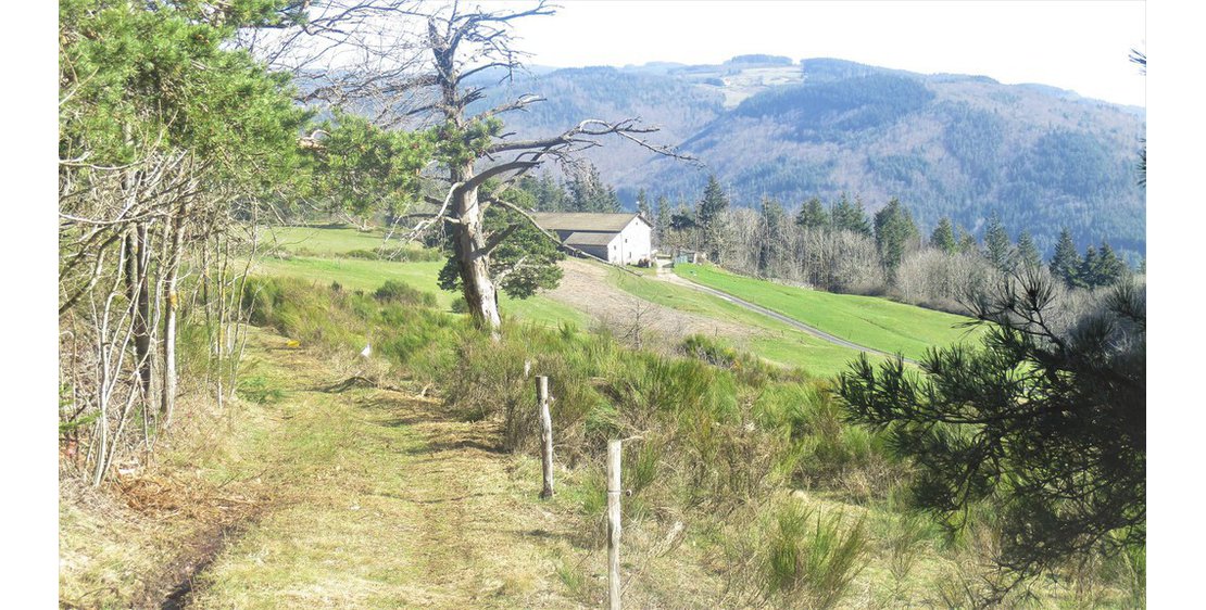 Photo Serre de la Terrasse