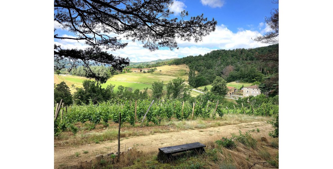 Photo Domaine de Morlanche