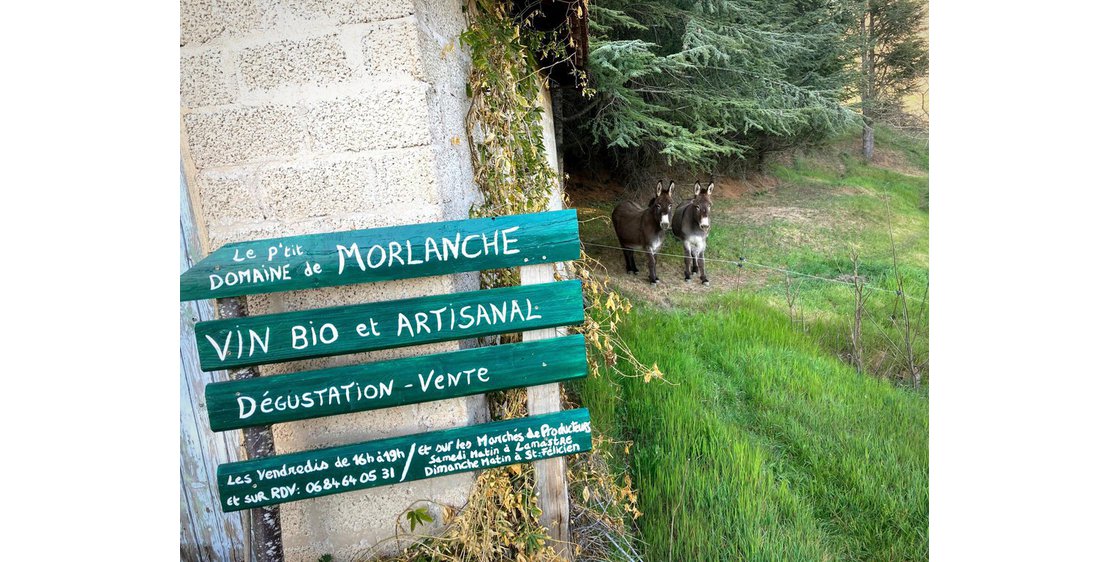Photo Domaine de Morlanche