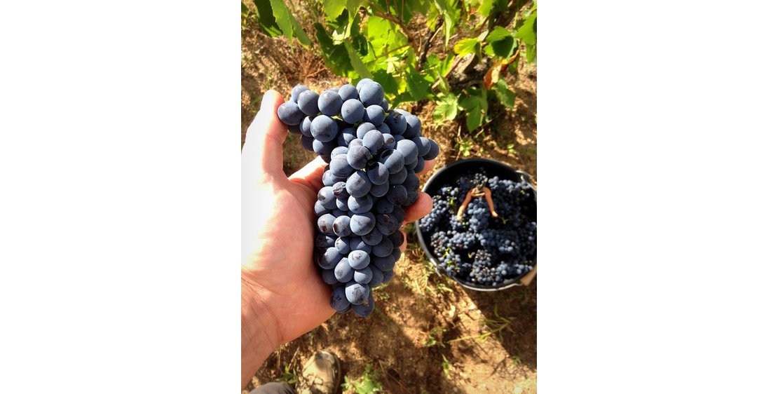 Photo Domaine de Morlanche