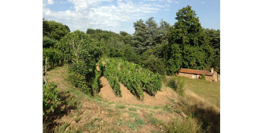 Photo Domaine de Morlanche