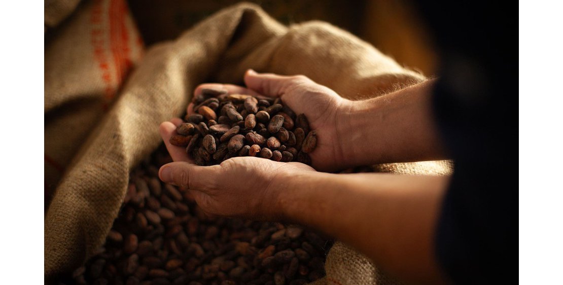 Foto Atelier Chocolat en Terre d’Ardèche - Songes et Cacao
