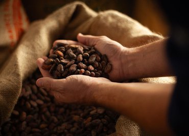 Atelier Chocolat en Terre d’Ardèche - Songes et Cacao