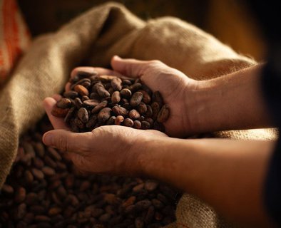 Atelier Chocolat en Terre d’Ardèche - Songes et Cacao