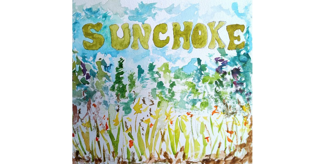 Photo Concert à l'Auberge de Boffres : SUNCHOKE