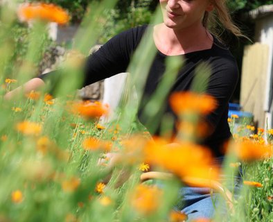 Visite guidée au jardin médicinal