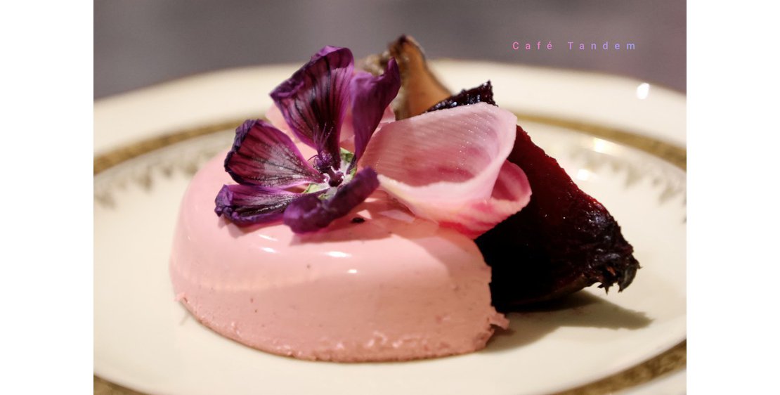 Photo Atelier gourmand Terre d'Ardèche - Cueillette et dégustation des plantes
