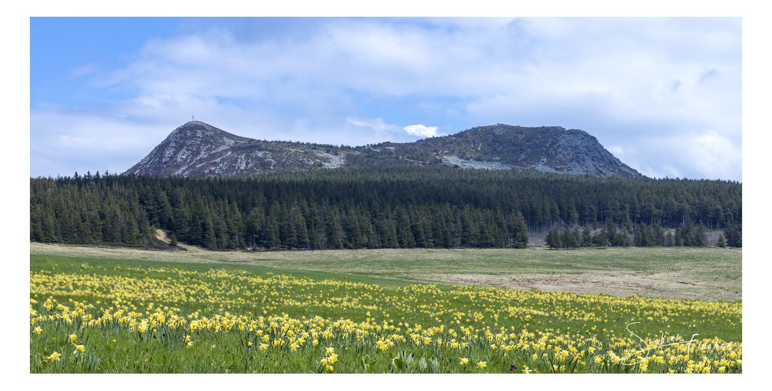 Photo Studio et atelier photographie - Sabine Fischer