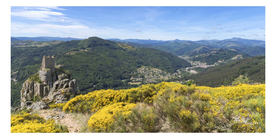 Photo Studio et atelier photographie - Sabine Fischer