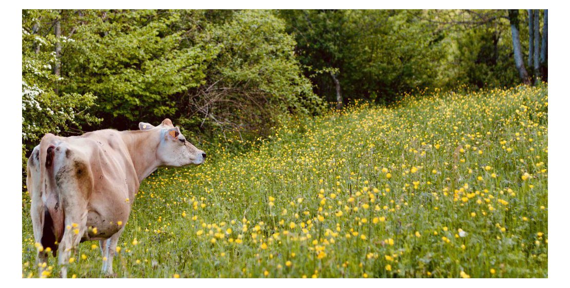 Photo Les Mercredis à la Ferme