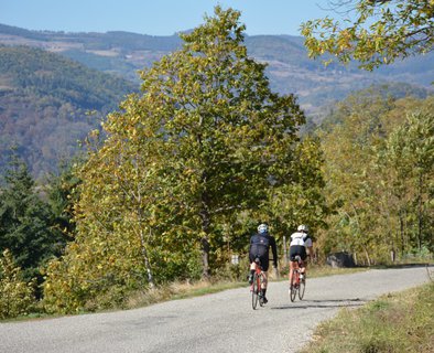 Séjour - "Vélo & Gourmandises"