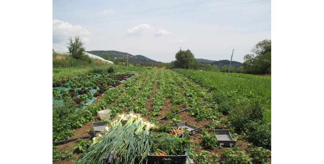 Photo Magasin de producteur - La Ferme du Mont