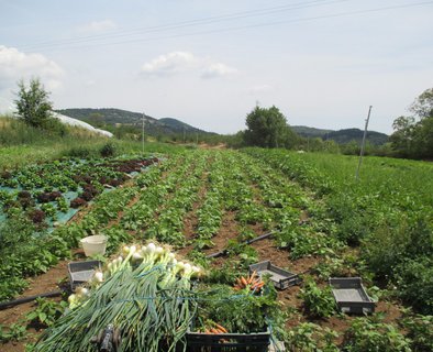 Magasin de producteur - La Ferme du Mont