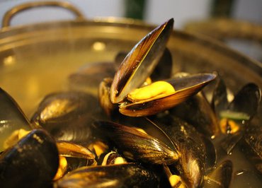 Matinée - "Moules Brasucade"