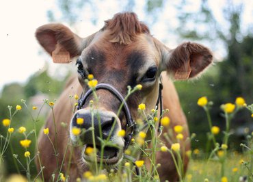 Les mercredis à la Ferme de Fontbonne