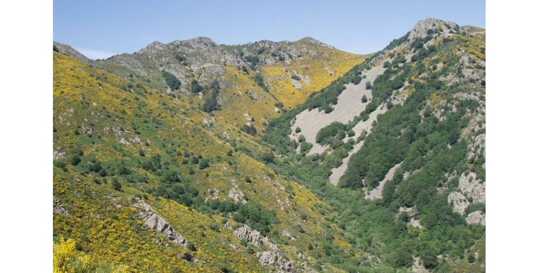 Foto Le Serre de Montourat