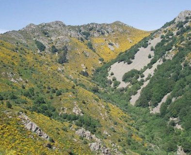 Le Serre de Montourat