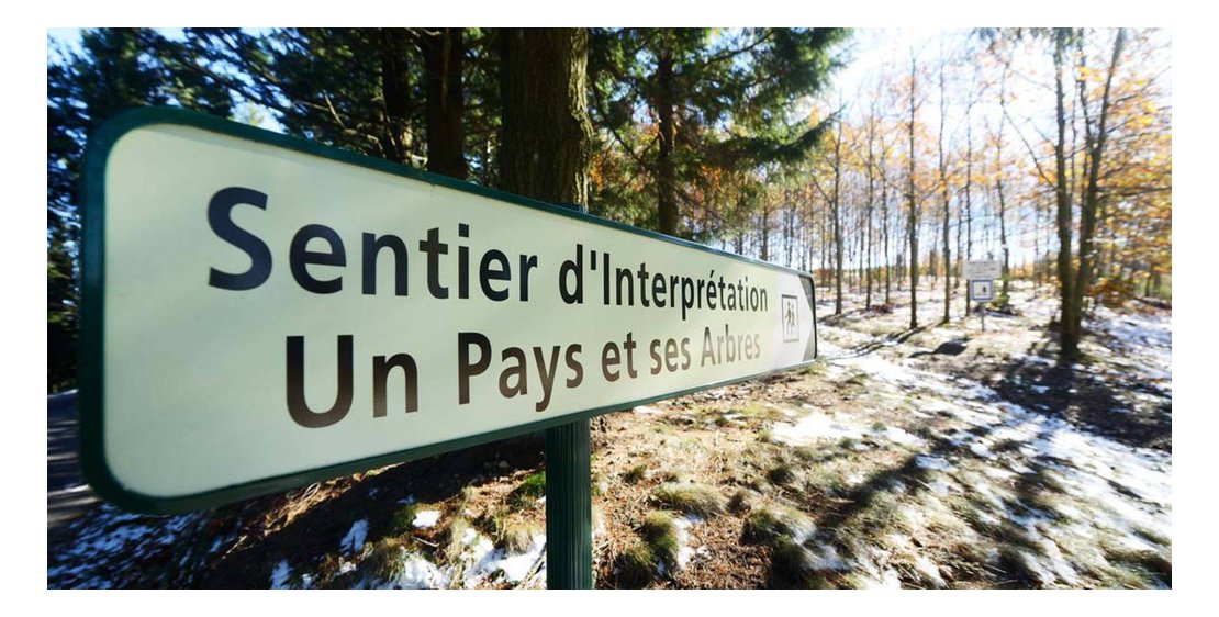 Photo Un Pays et ses Arbres - N°9