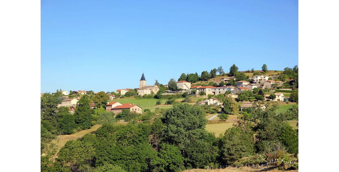 Photo Un Pays et ses Arbres - N°9