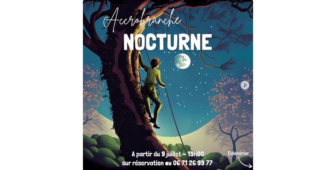 Photo Nocturne à l'accrobranche