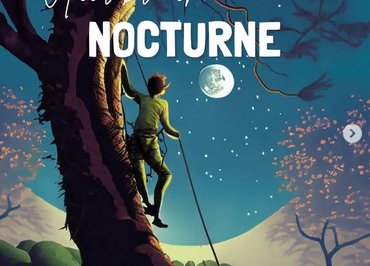 Nocturne à l'accrobranche