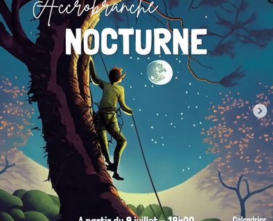 Nocturne à l'accrobranche