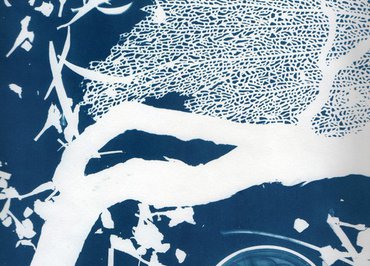 Les ateliers d'été du cyanotype