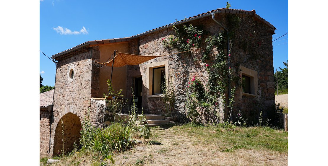 Foto Alcea Rosea